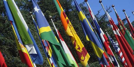 Avenue of Flags at the UN Building by Erin Faulkner