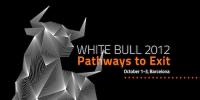 White Bull Summits logo