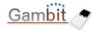 Gambit special interest group logo